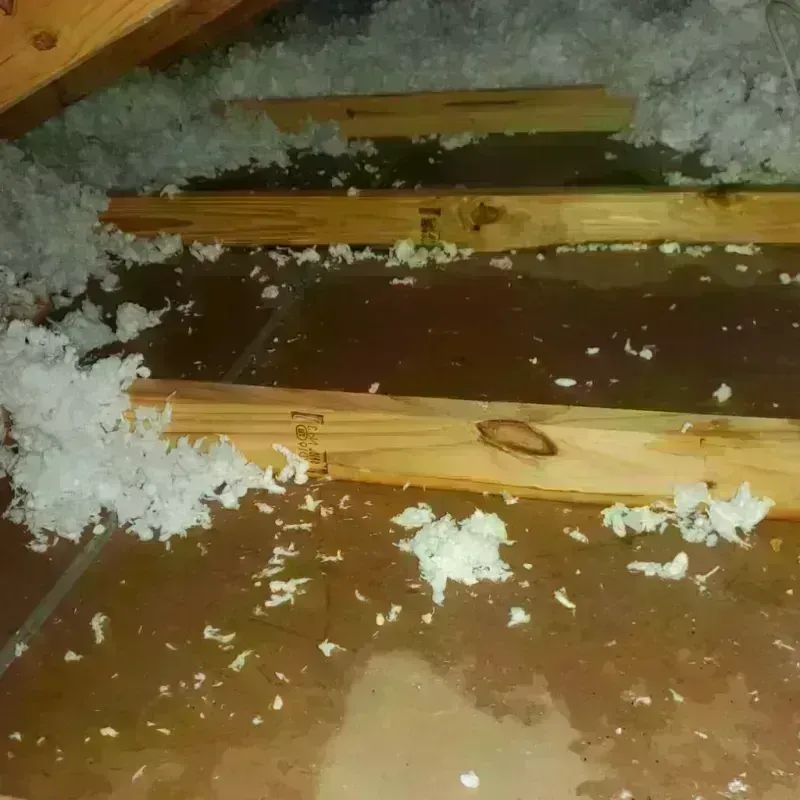 Attic Water Damage in Pine Bluff, AR