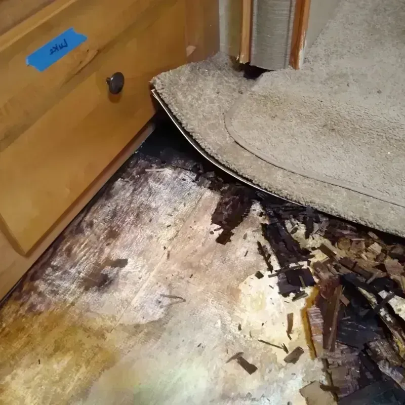 Wood Floor Water Damage in Pine Bluff, AR